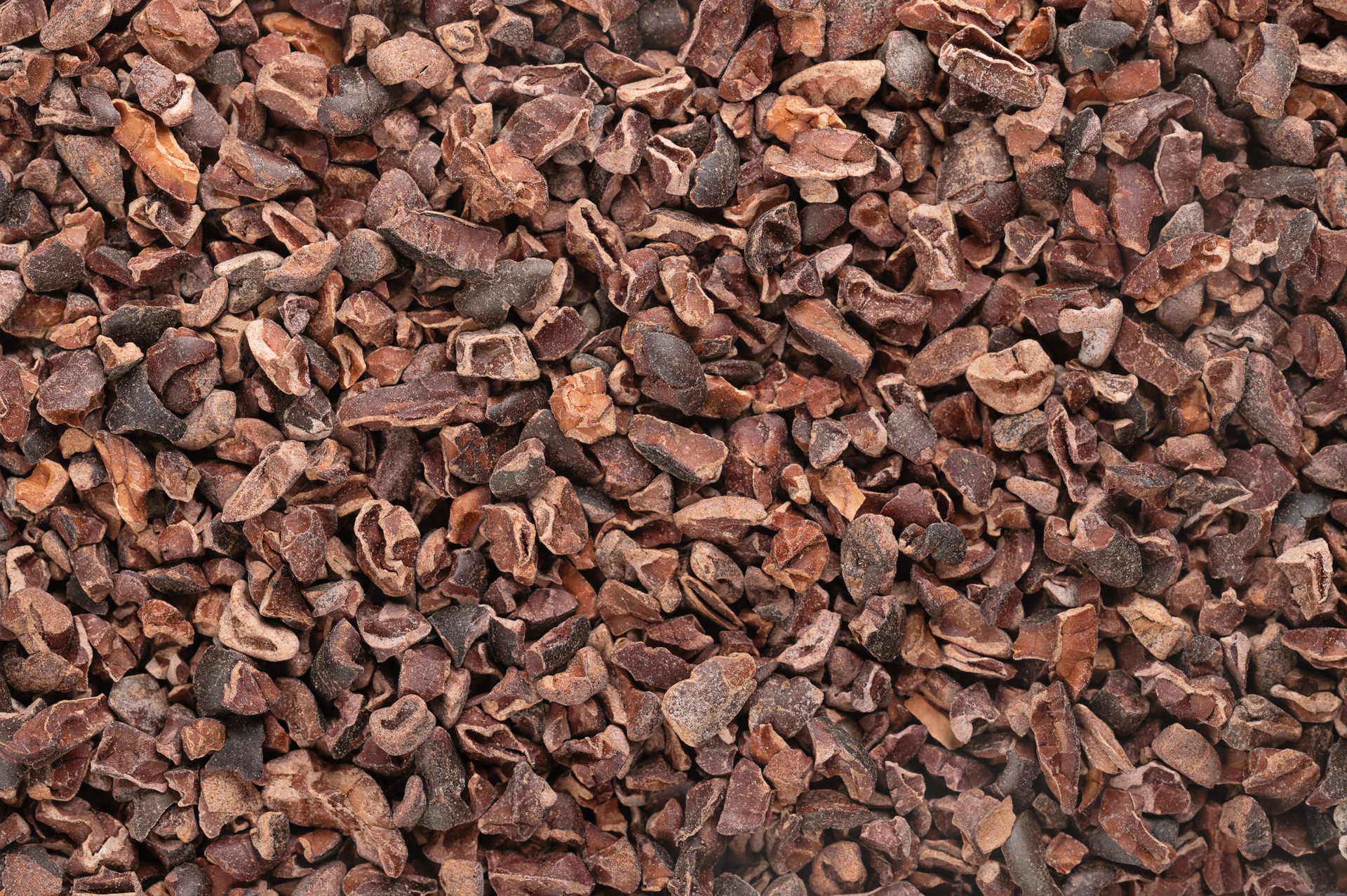 Cocoa nibs, background of crushed dried fermented kernels of cocoa beans