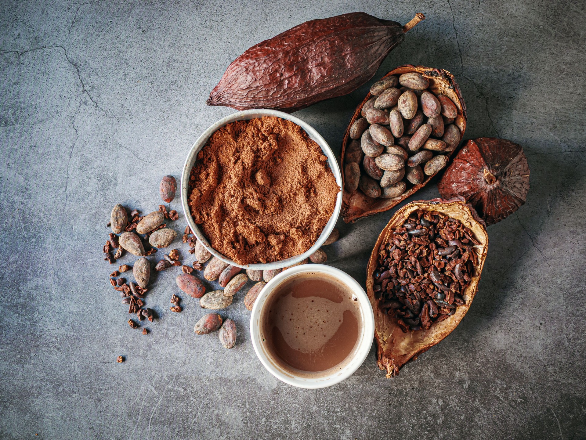 Top view of Cocoa drink, Natural cocoa powder with brown cocoa beans and cacao pod on a gray background