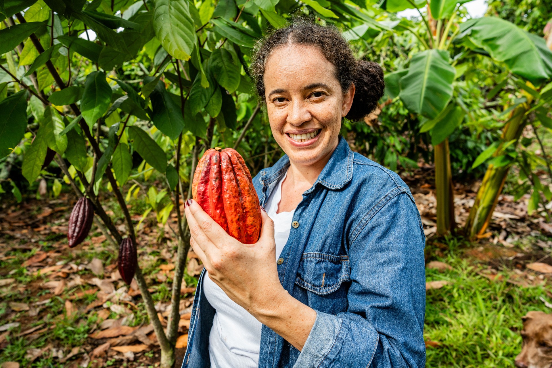Portrait of a female farmer harvesting cocoa pods on a farm